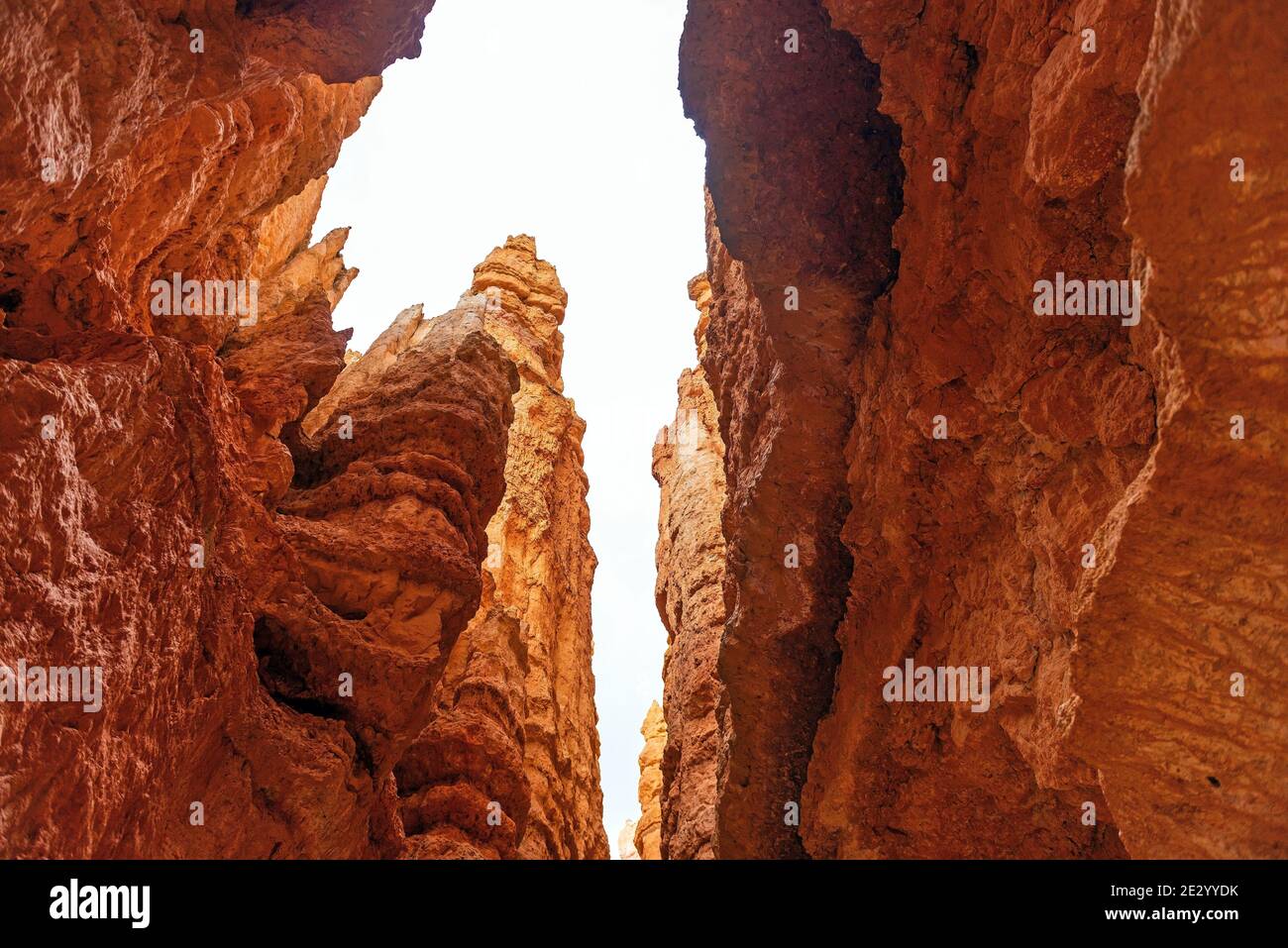 Hoodoo sandstone rock formation, Bryce Canyon, Utah, USA (United States of America). Stock Photo