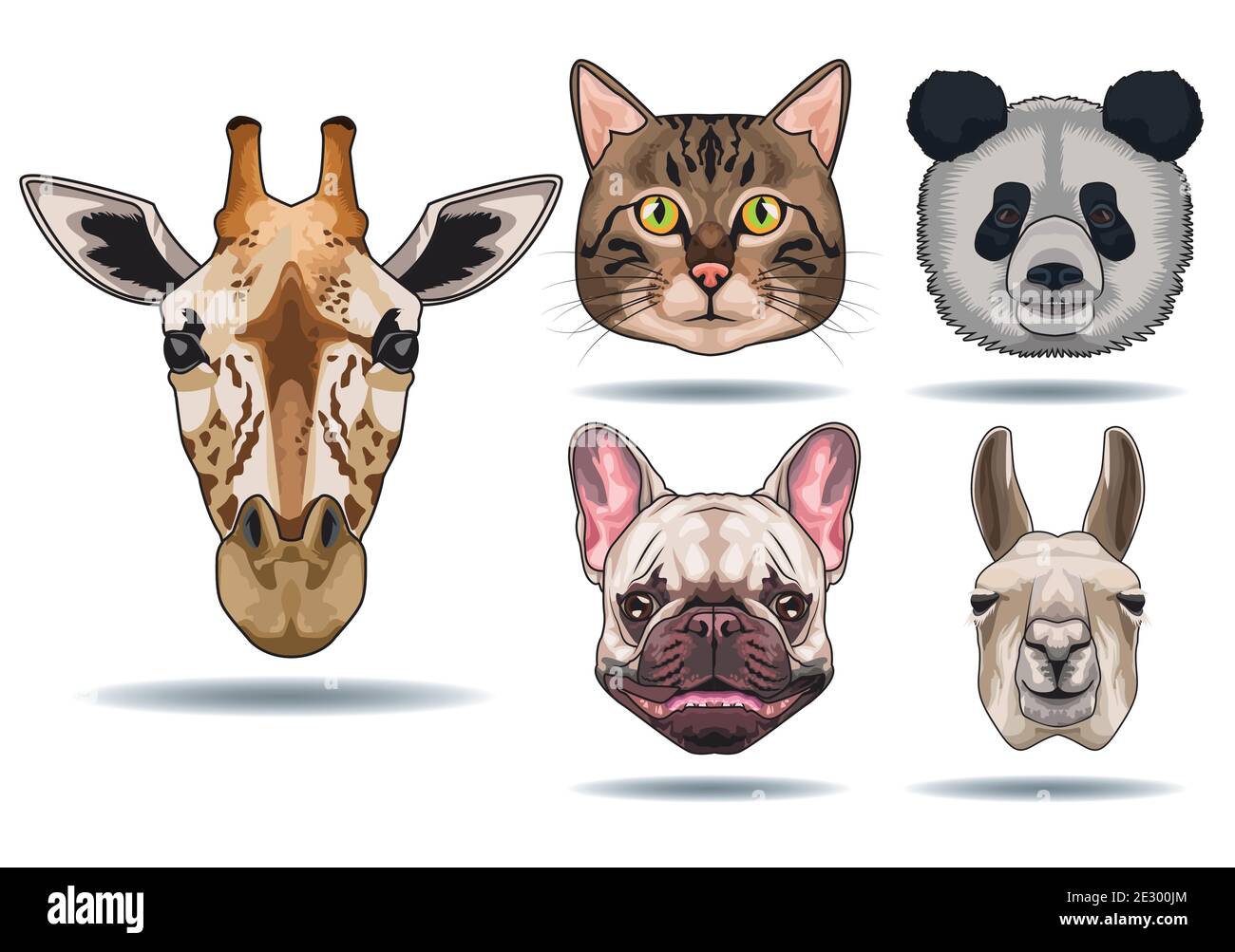 bundle of five animals domestics and wild icons vector illustration design Stock Vector Image & Art - Alamy bundle of five animals domestics and wild icons vector illustration design Stock Vector Image & Art - Alamy