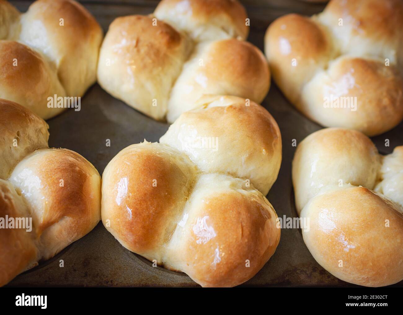 Freshly baked clover dinner rolls glistening with melted butter still