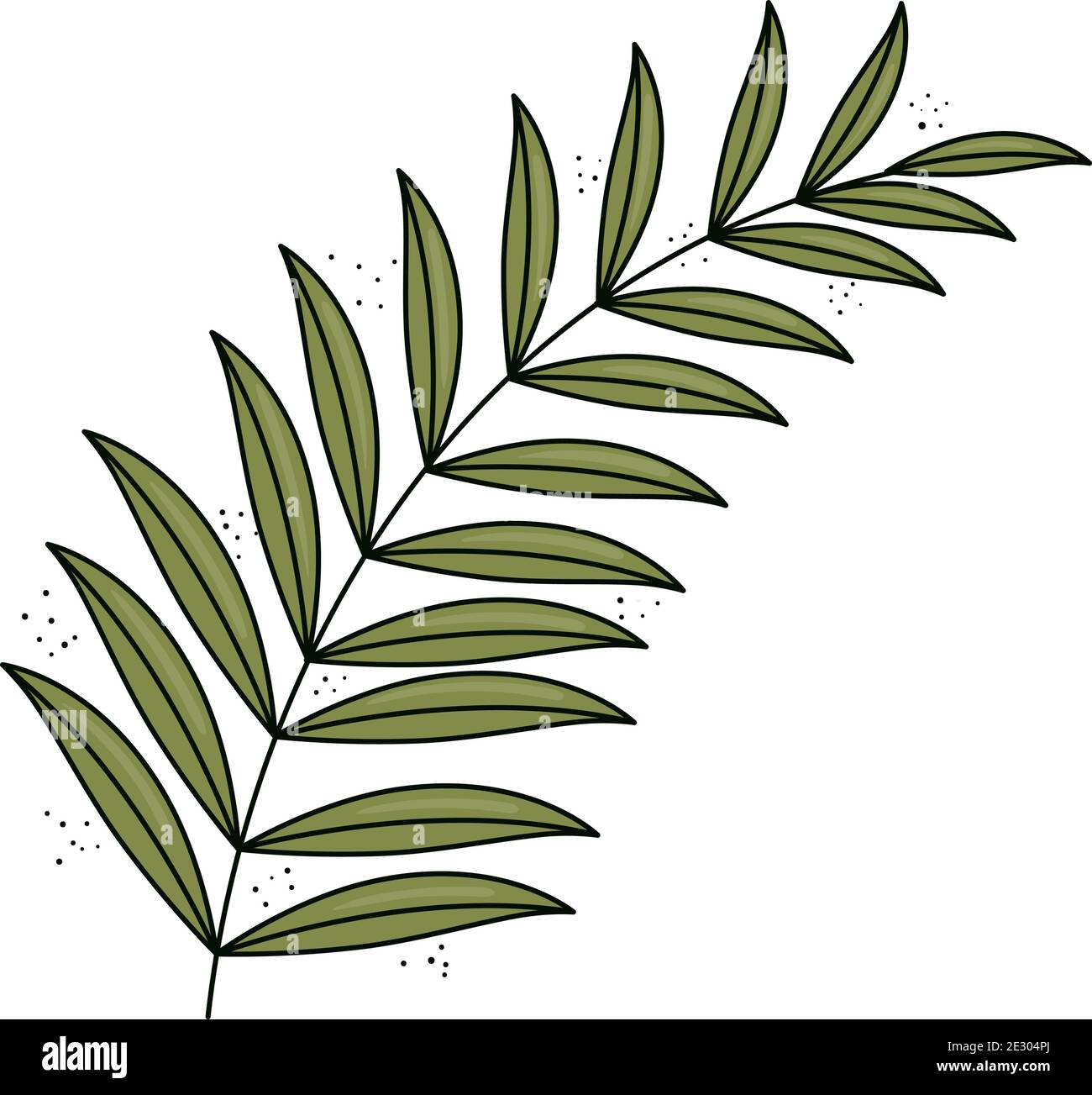 tropical exotic branch with leafs nature isolated Stock Vector Image ...