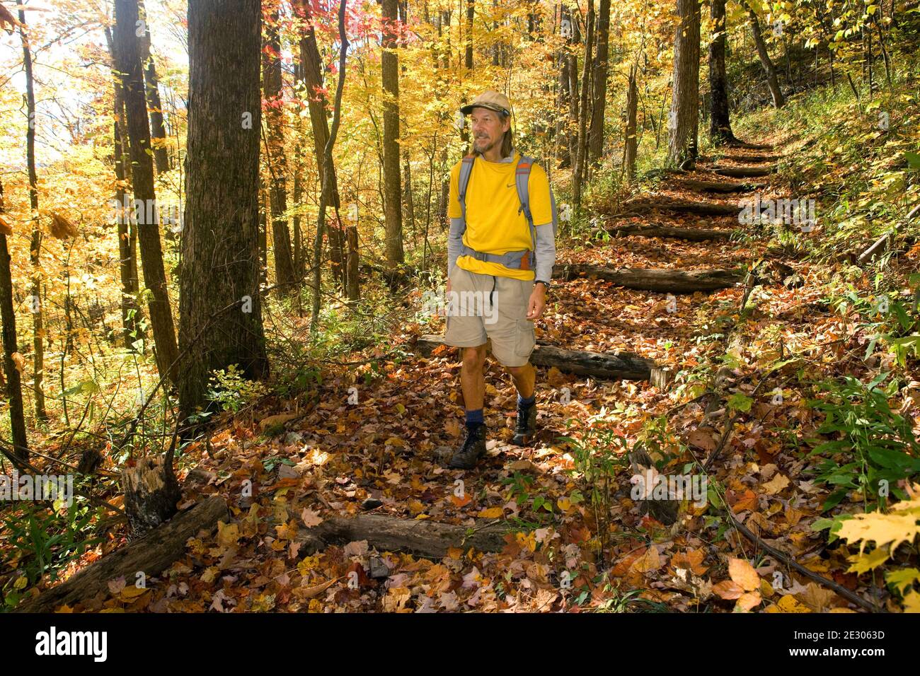 NC00235-00...NORTH CAROLINA - Hiker on the Appalachian Trail near Davenport Gap in Great Smoky Mountains National Park. Stock Photo