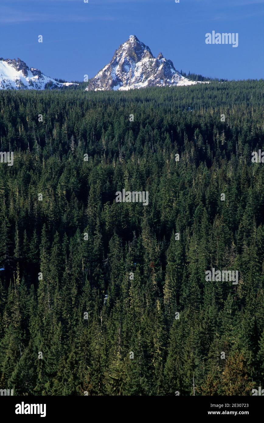Mt Yoran, Willamette National Forest, Oregon Stock Photo Alamy