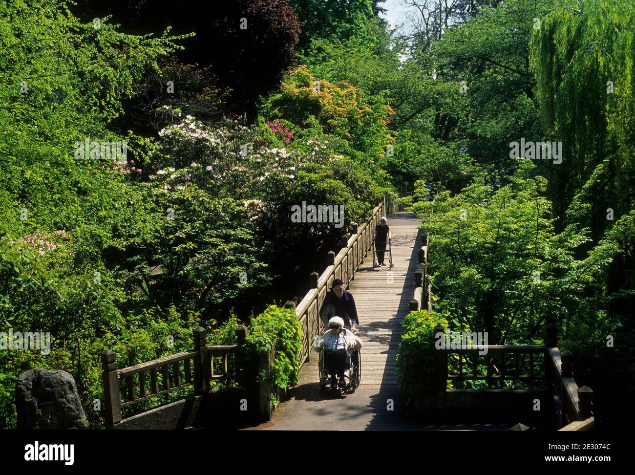 Garden bridge, Crystal Springs Rhododendon Gardens, Portland, Oregon Stock Photo Alamy