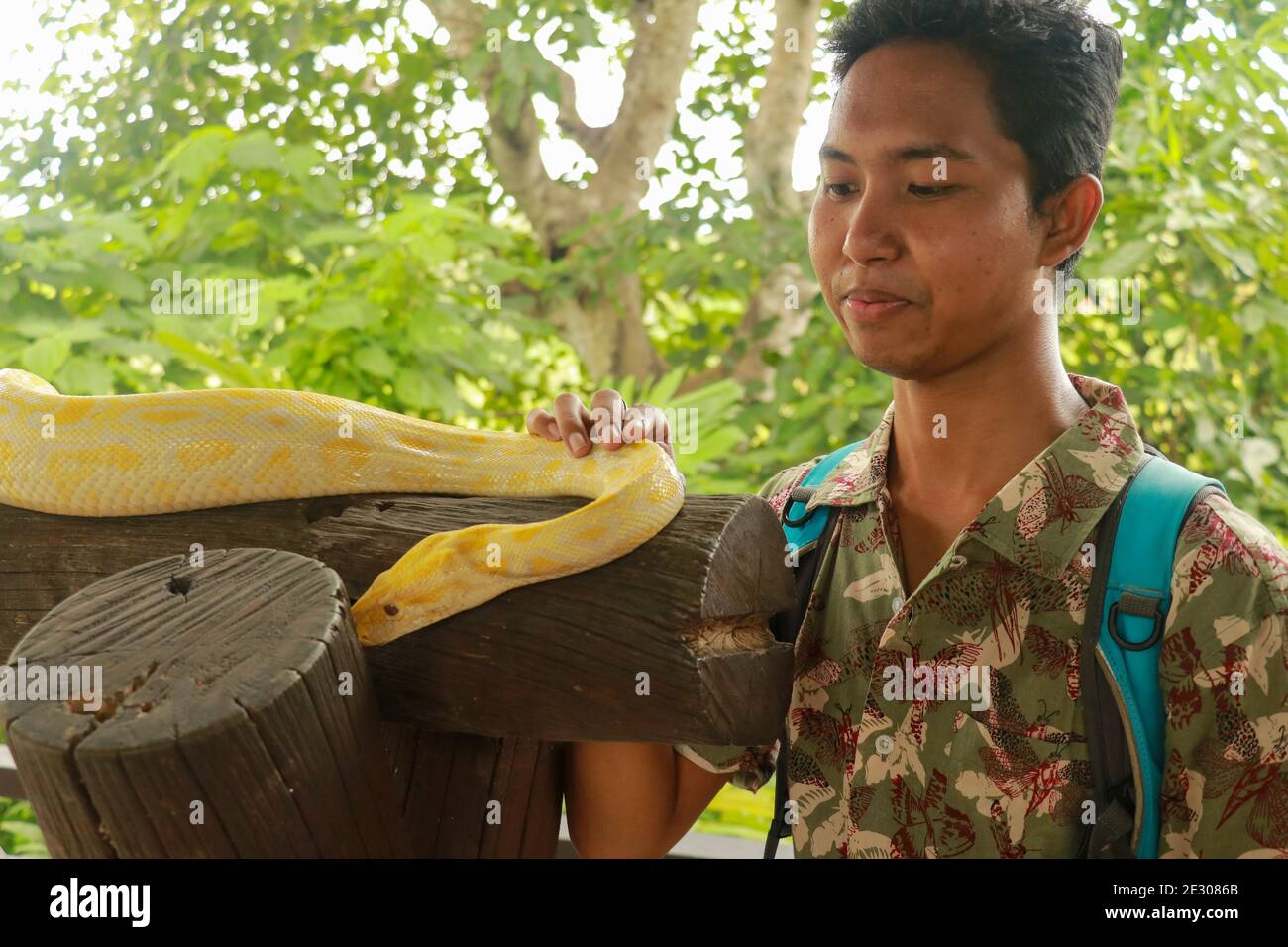 Man holding burmese python hi-res stock photography and images - Alamy