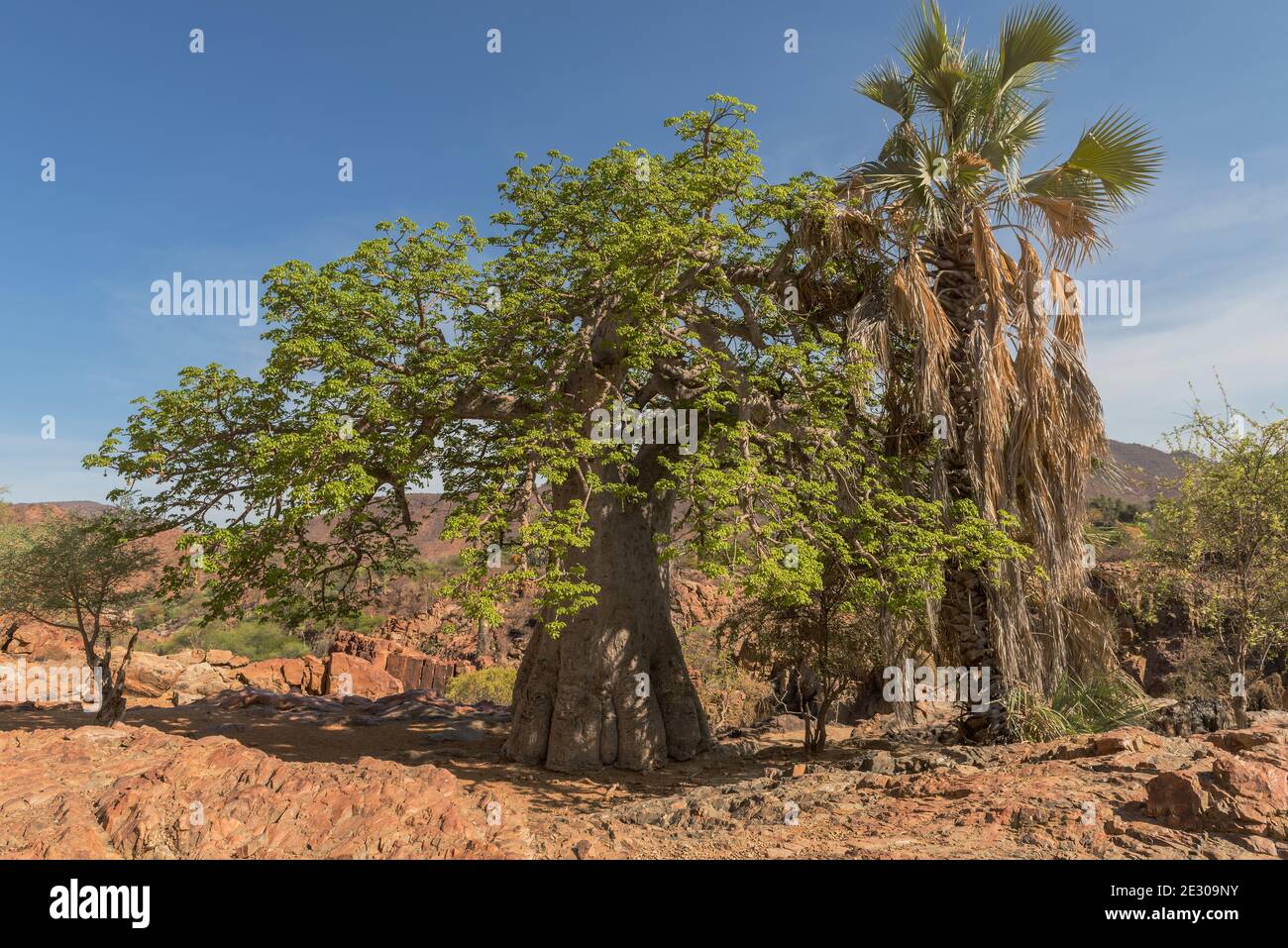 Landscape on the banks of the Kunene River, the border river between  Namibia and Angola Stock Photo - Alamy