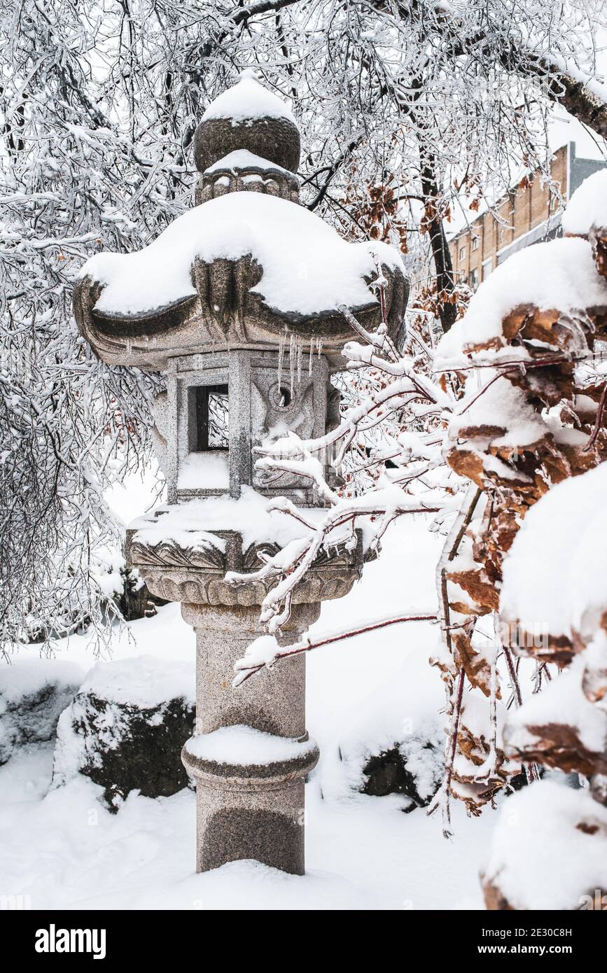 Zen frozen ice snow tree hi-res stock photography and images - Alamy