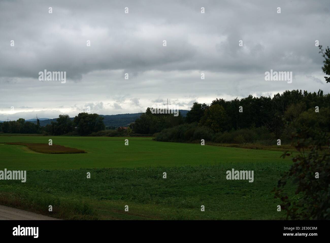 Agricultural field surrounded by trees on a cloudy day Stock Photo - Alamy