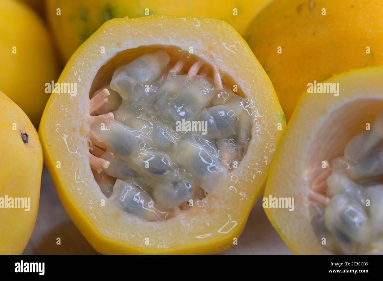 Close-up of cut yellow golden passion fruit, Passiflora edulis, with its distinctive rind and numerous tiny, dark brown or black, pitted seeds Stock Photo