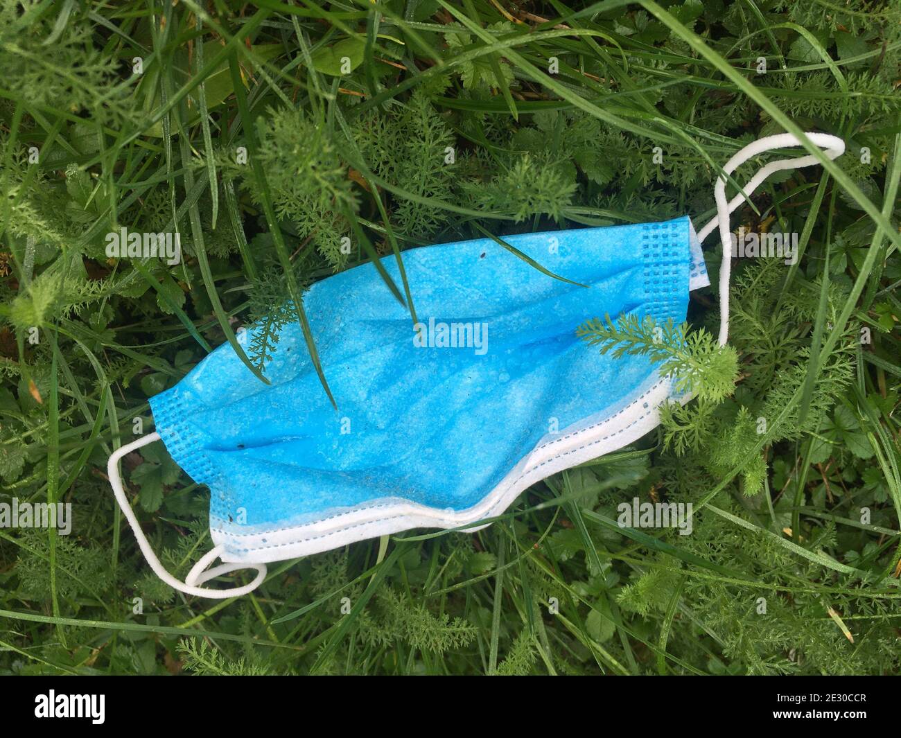 Stockholm, Sweden - September 30, 2020: Many face masks end up in nature or the oceans posing a real problem to the environment Stock Photo