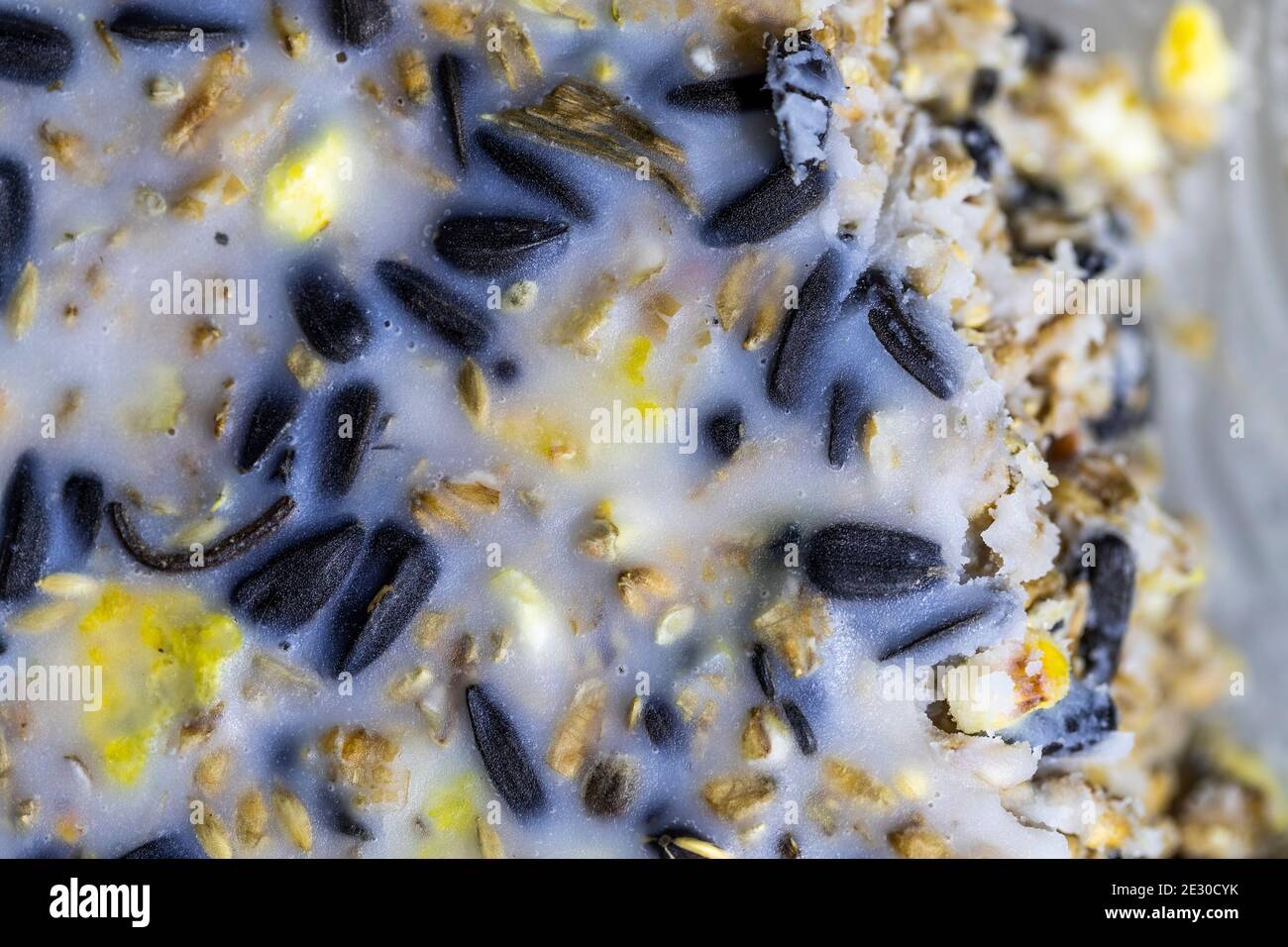 Lard cake for birds. Feeding the garden birds with a wild bird food