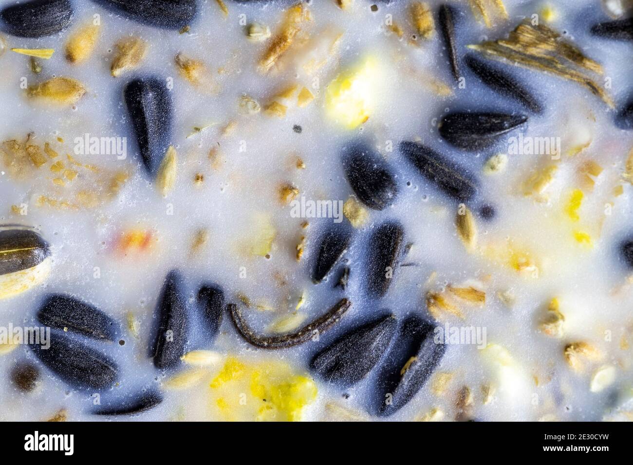 Lard cake for birds. Feeding the garden birds with a wild bird food