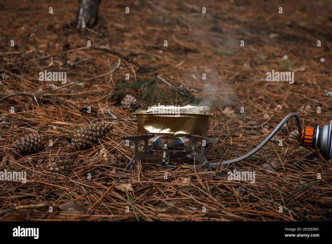 Tourist gas burner for heating food. Open fire close-up. Metal portable small burner in the forest on coniferous litter. The concept of hiking, touris Stock Photo