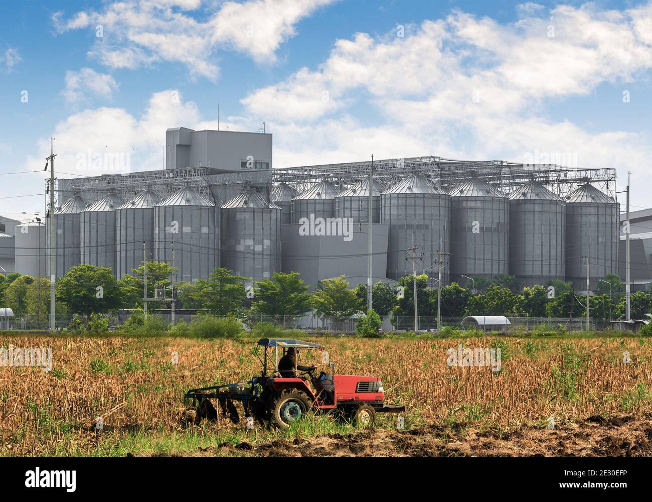 Agricultural Silos - Building Exterior, Storage and drying of grains ...