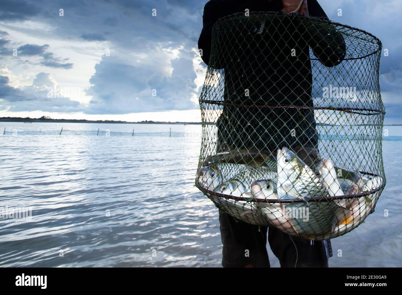 An Asian fisherman stands in a lake and holding a shoal of big Common Silver barb in a fish net, storm over the lake background. Food culture concept. Stock Photo