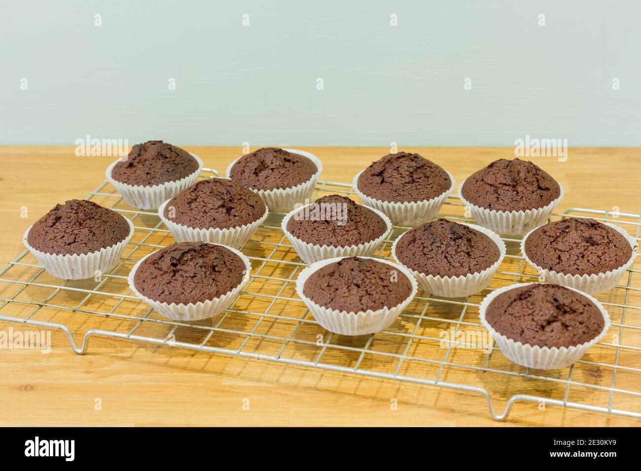 Chocolate fairy cakes, cupcakes in cases cooling on a wire rack, UK Stock Photo