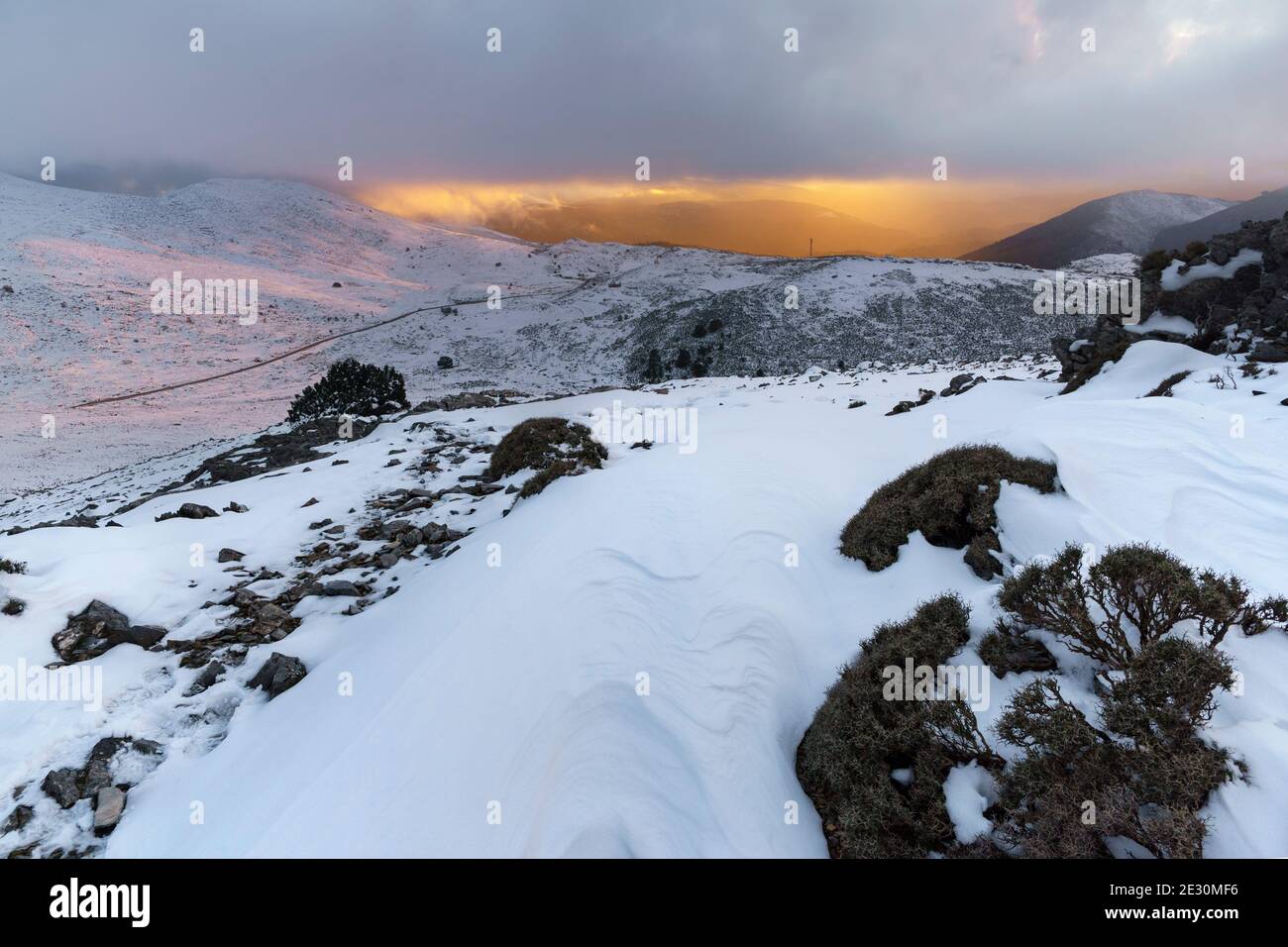 snowfall in the Sierra de las Nieves national park in Malaga. Andalusia