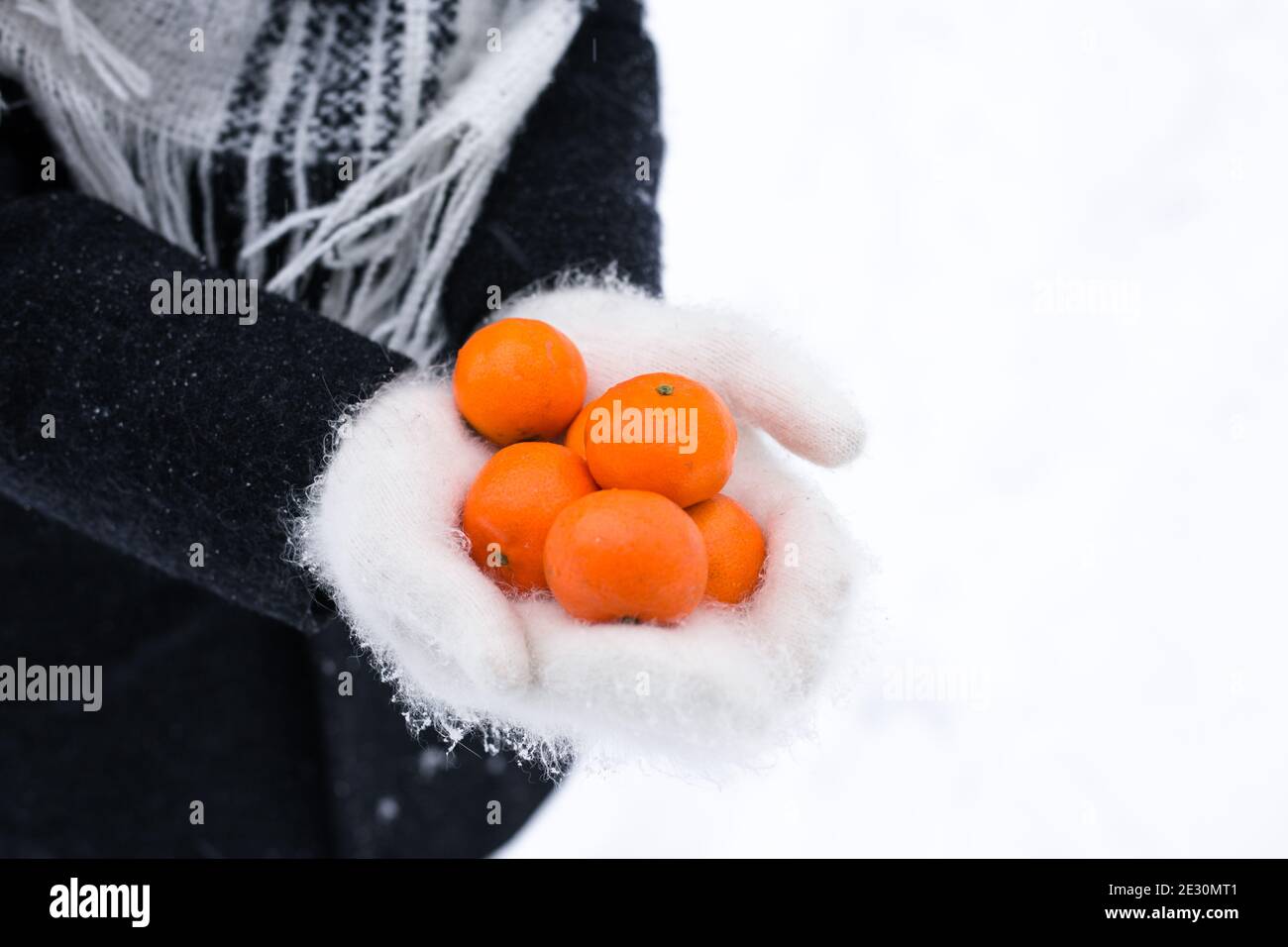Hands in warm white mittens hold tangerines in winter Stock Photo