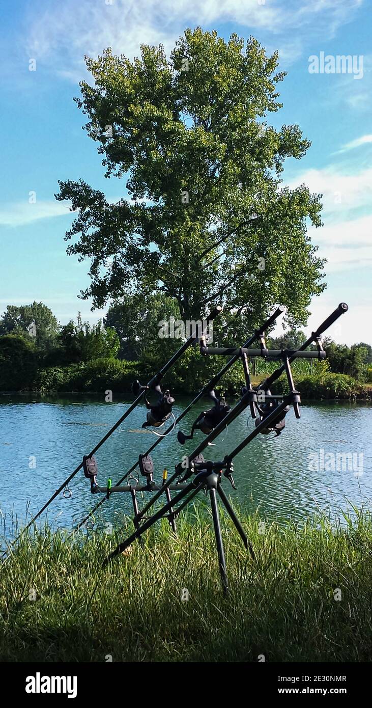 Selective carp fishing in a lake in Piedmont, Italy. Stock Photo