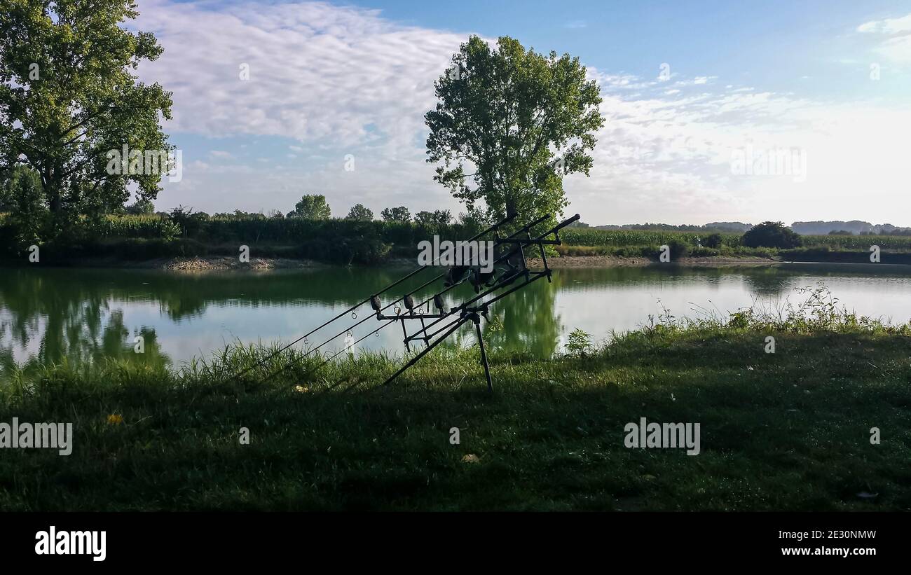 Selective carp fishing in a lake in Piedmont, Italy. Stock Photo