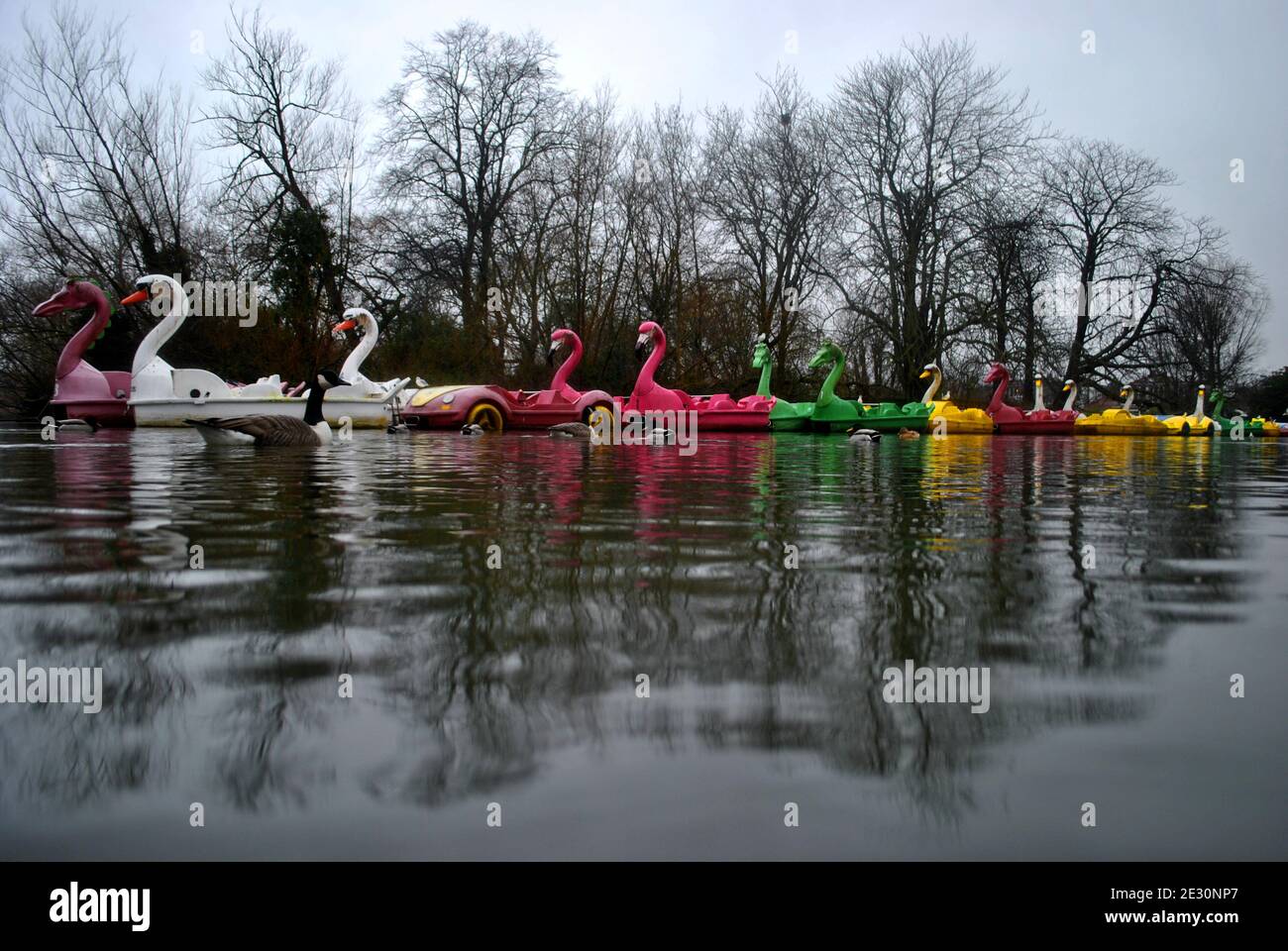 Due to covid19 unused pleasure craft & Pedalos of various styles, on