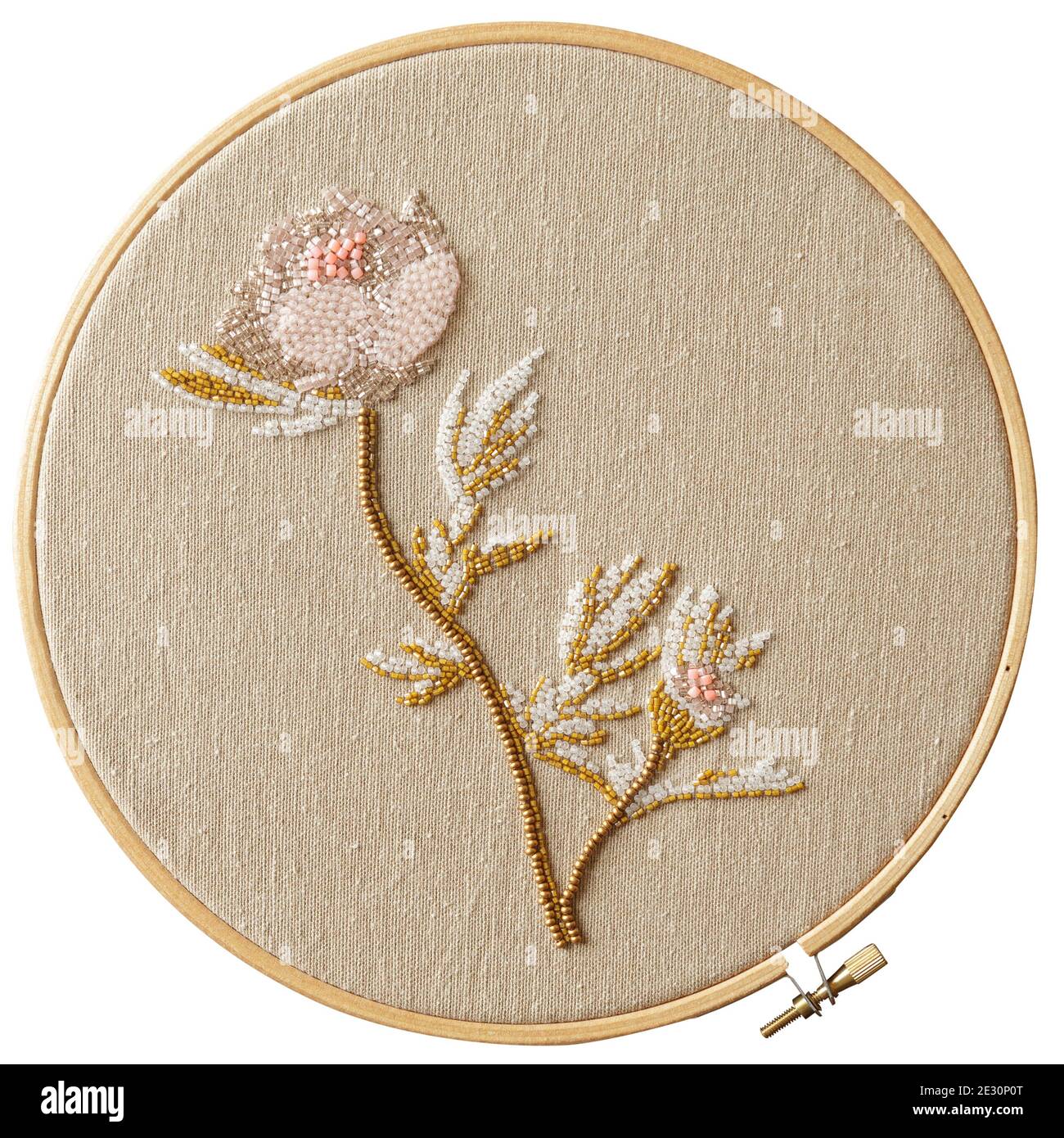 Embroidery of a flower on a round hoop on a white background Stock ...
