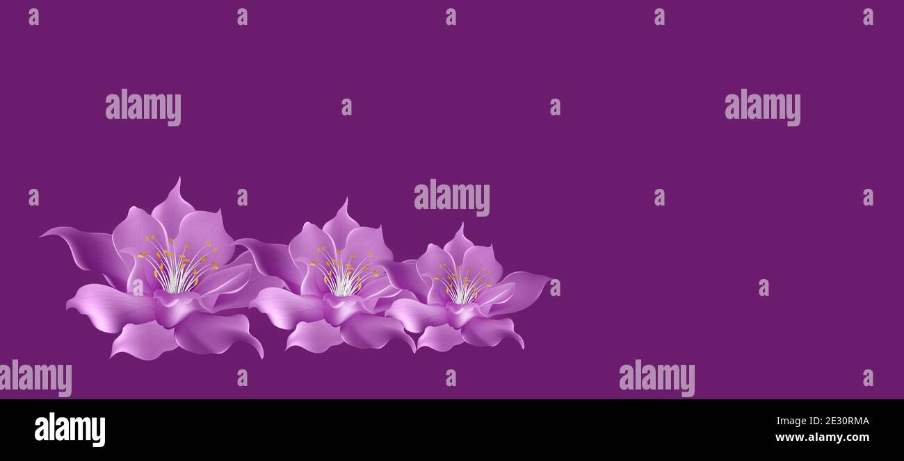Floral background with purple flowers Stock Photo - Alamy