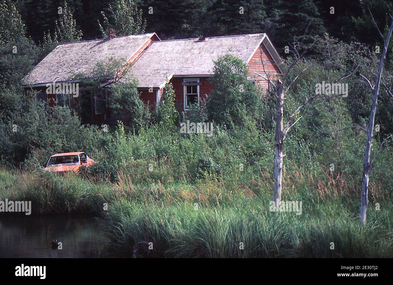 A House in Chitina, Alaska Stock Photo Alamy