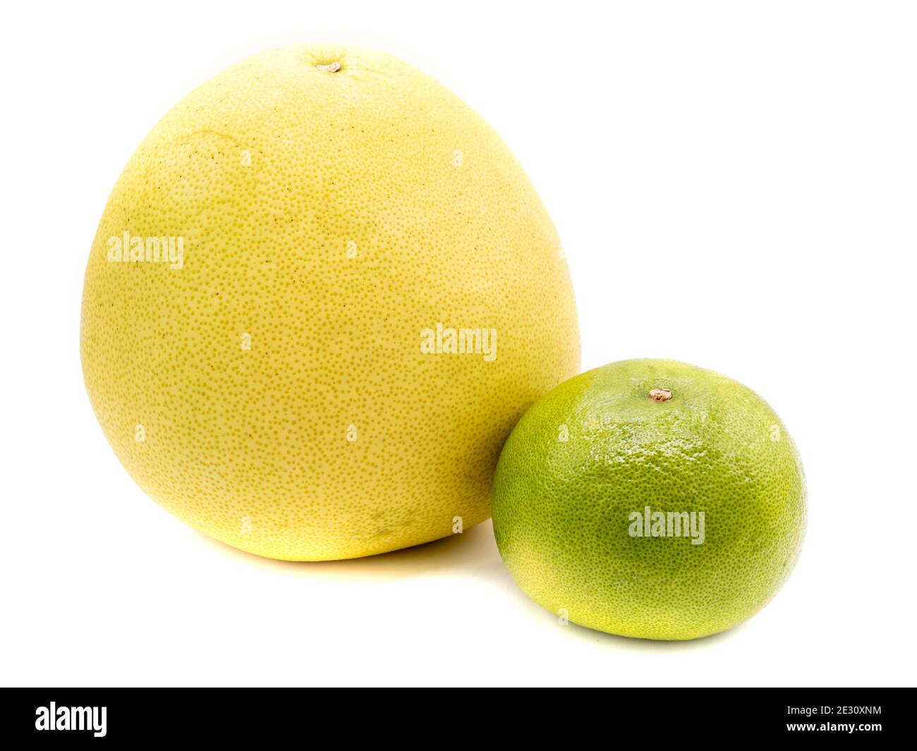 citrus maxima and pomelo isolated on white background Stock Photo Alamy