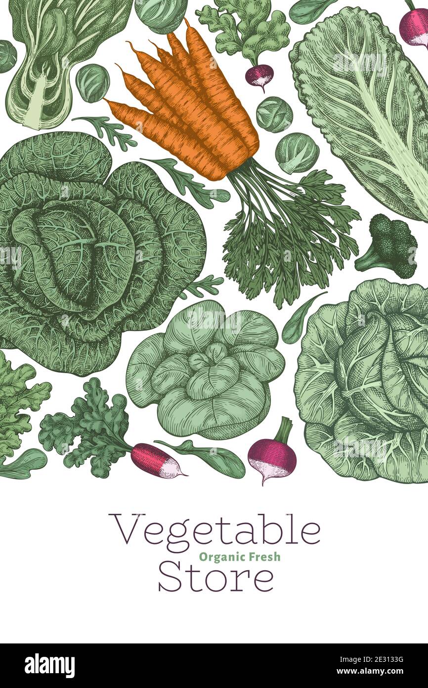 Hand drawn vintage color vegetables design. Organic fresh food vector ...