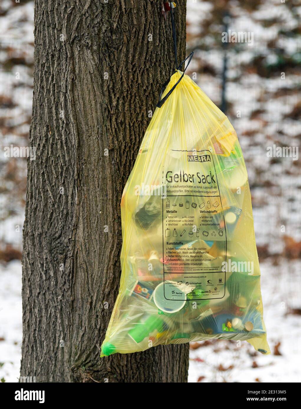 14 January 2021, Brandenburg, Kleinmachnow: A yellow garbage bag hangs from  a tree next to a garden ready for pickup. Photo: Soeren  Stache/dpa-Zentralbild/ZB Stock Photo - Alamy