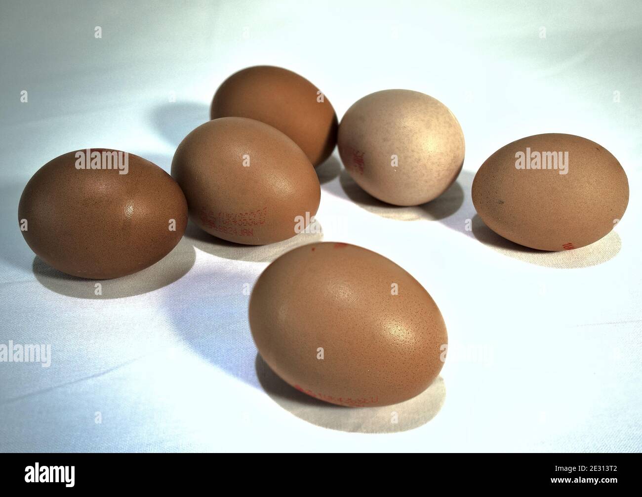 Hen's eggs in close up Stock Photo