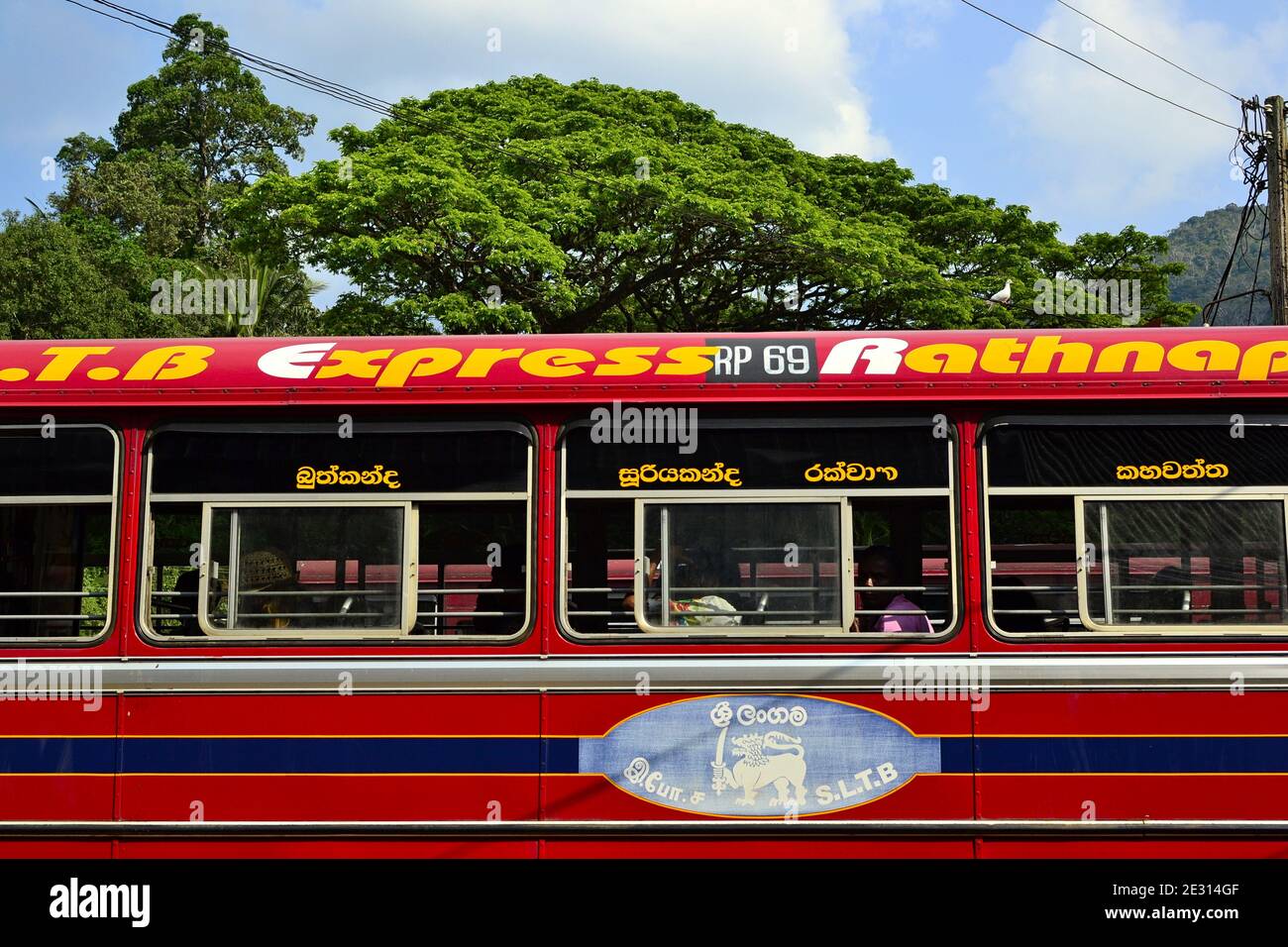Sri Lanka - March, 2017: Red bus called Rathnapura Express on a bus station on a background of bright green tree and blue sky. Ashok Leyland Indian Stock Photo