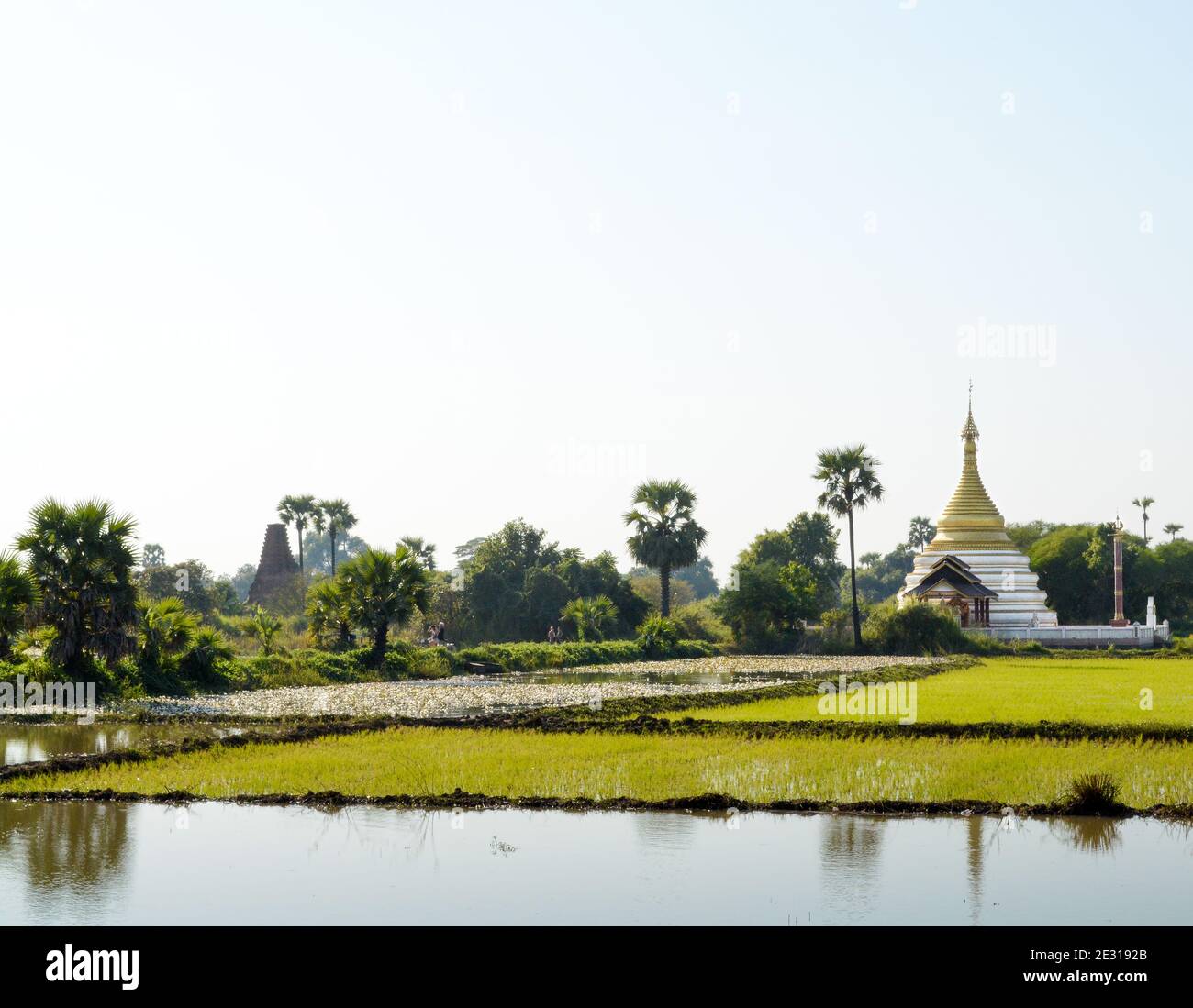 Inwa, Myanmar - A golden pagoda located solely on farmland in Ava, an ancient imperial capital of successive Burmese kingdoms. Stock Photo