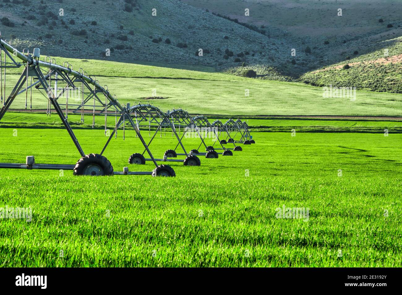 Garden automatic irrigation system on a green grass Stock Photo - Alamy