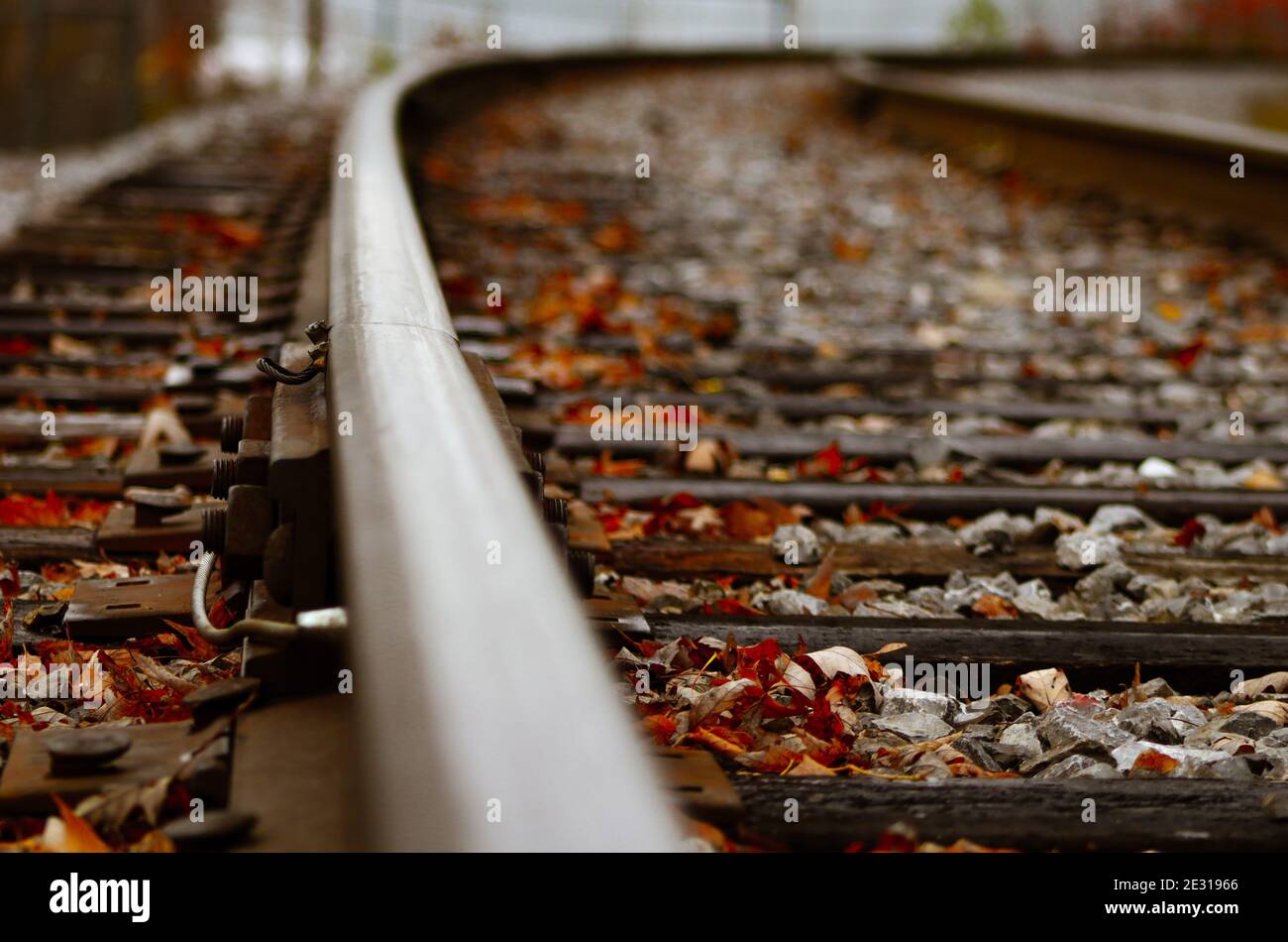 Track covered in leaves hi-res stock photography and images - Alamy
