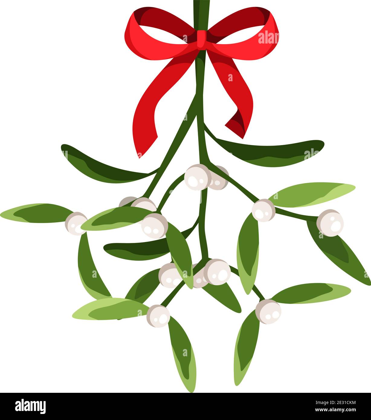 Vector Christmas mistletoe branch isolated on a white background. Stock Vector