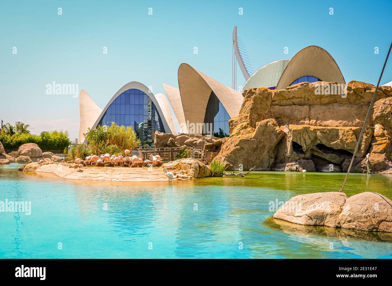 The Oceanographic, Valencia, Spain Stock Photo