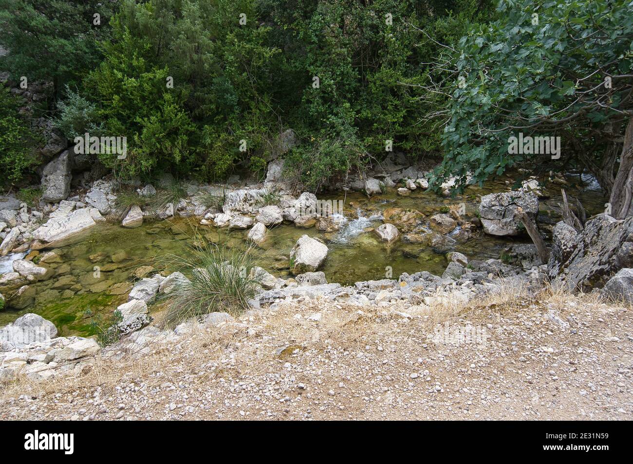 view of the source of the river Borosa in the Natural Park of the Sierras de Cazorla, Segura and las Villas, Andalucia, Spain. Route in a sunny day Stock Photo