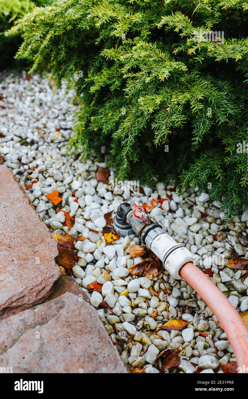 Water supply hose connected to an underground faucet in the backyard