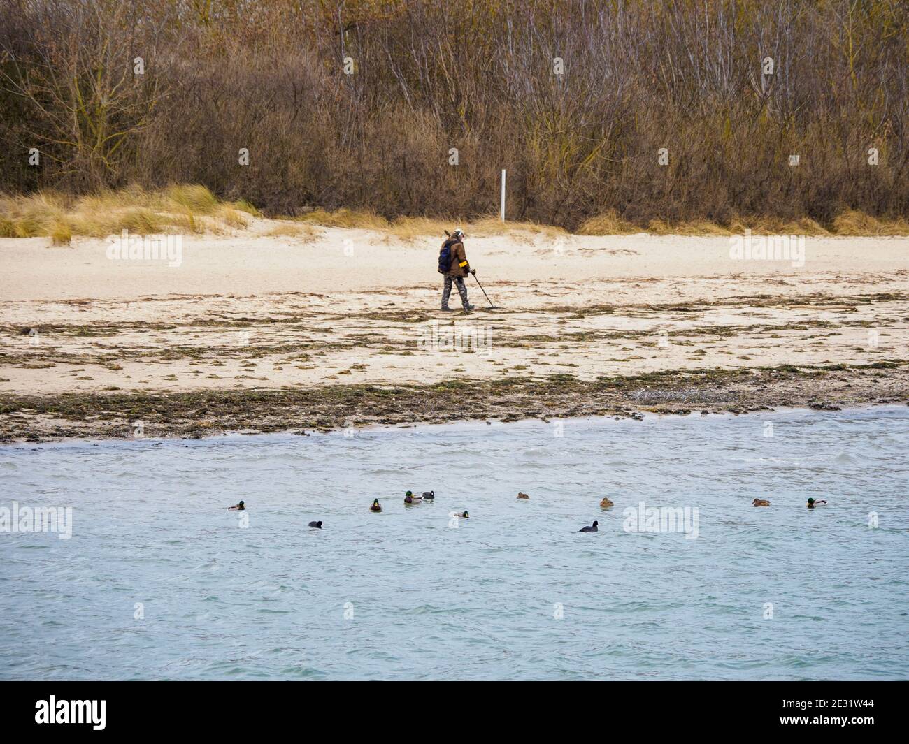 a man searches the beach with a metal detector Stock Photo - Alamy