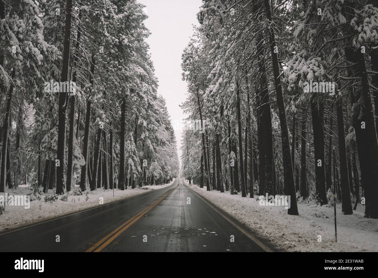 Empty road through snow hi-res stock photography and images - Alamy