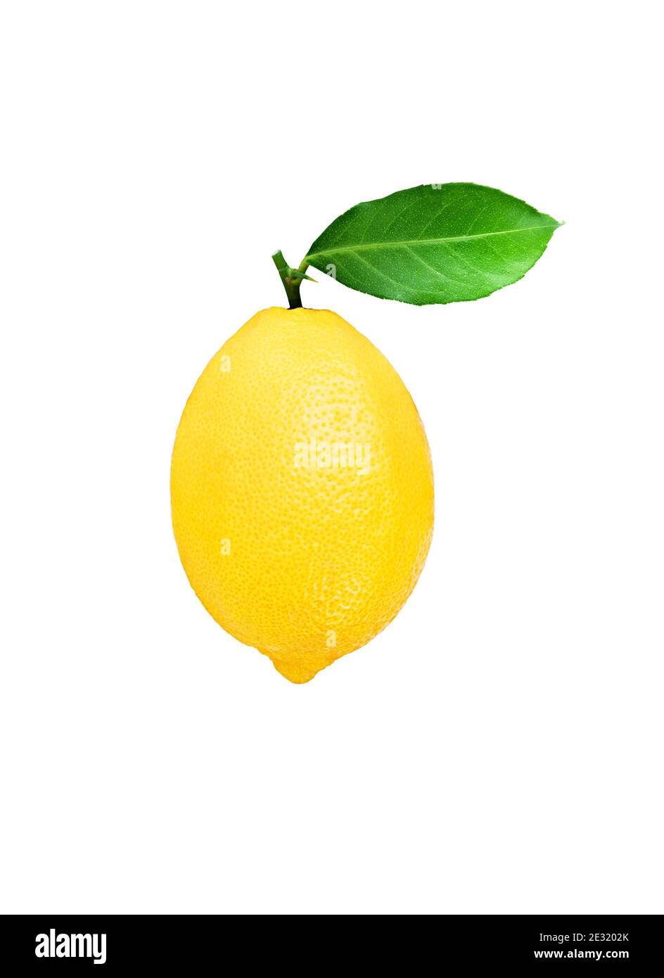 Lemon fruit with leaf isolated on white background . Stock Photo