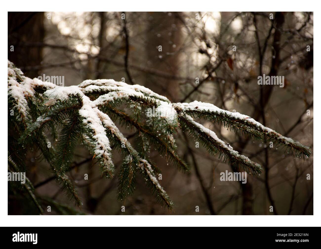 winters day Stock Photo