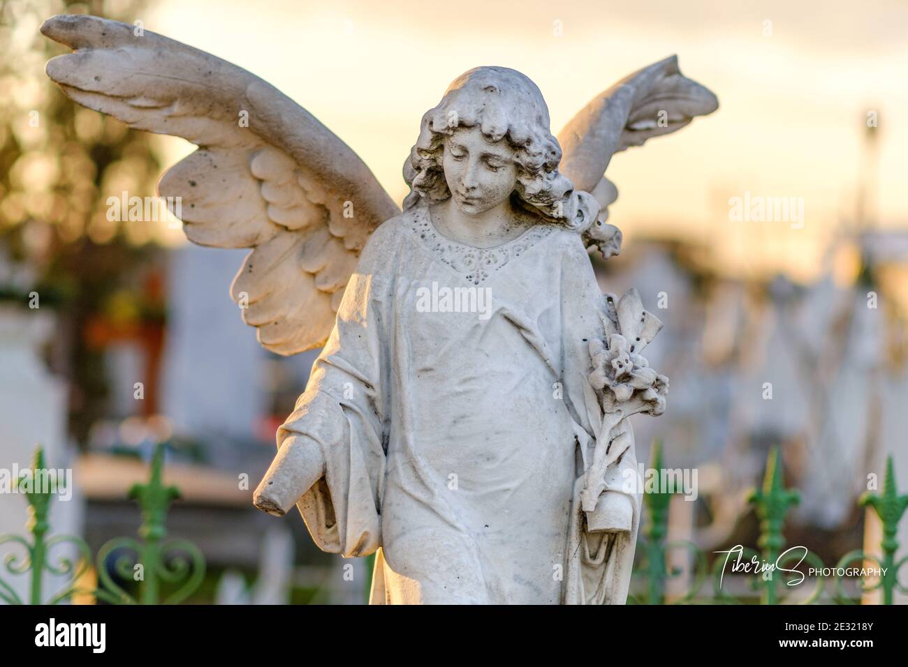 Broken hands young woman angel with huge wings funeral monument, white marble statue on a cemetery tomb. Stock Photo