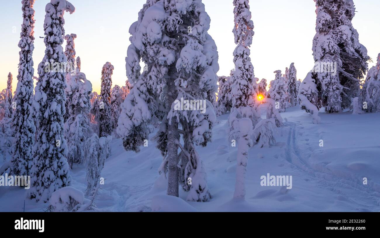 Snowy forest and fells in Finland's Lapland Stock Photo