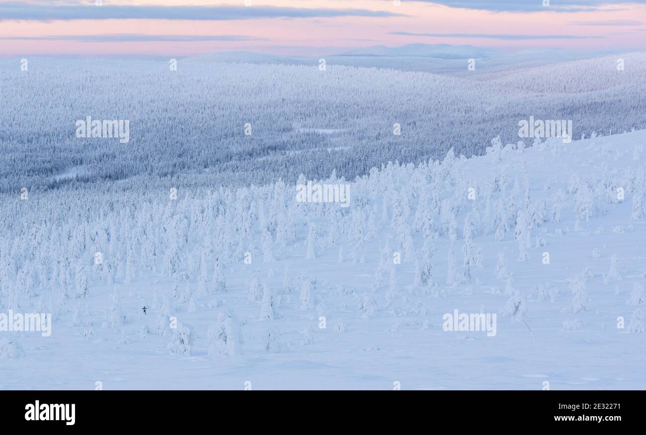 A skier in the wilderness in Finland's Lapland Stock Photo
