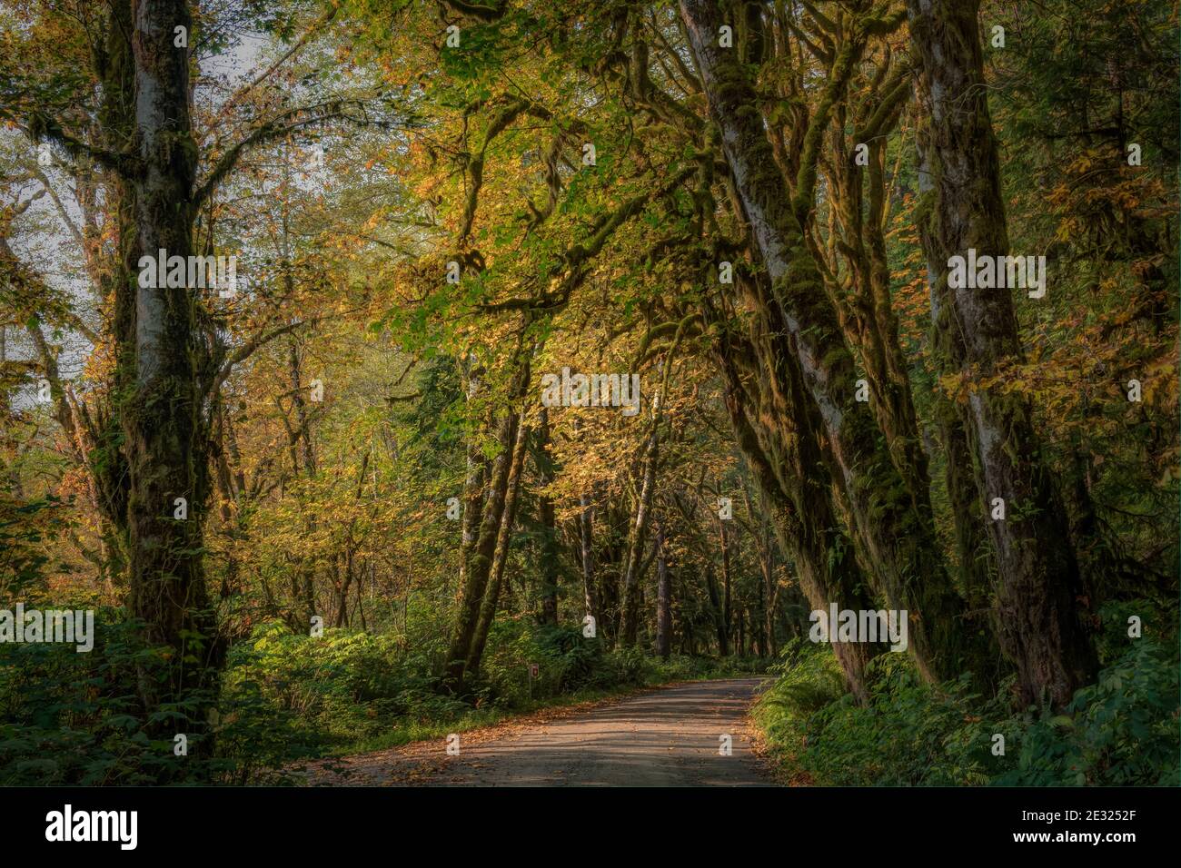 Pacific Northwest Usa Stock Photo Alamy Pacific Northwest Usa Stock Photo Alamy