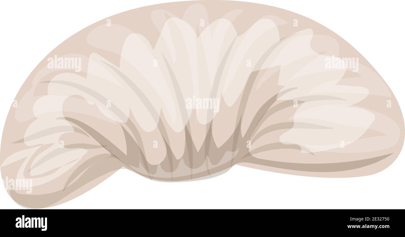Water sea shell icon, cartoon style Stock Vector Image & Art - Alamy