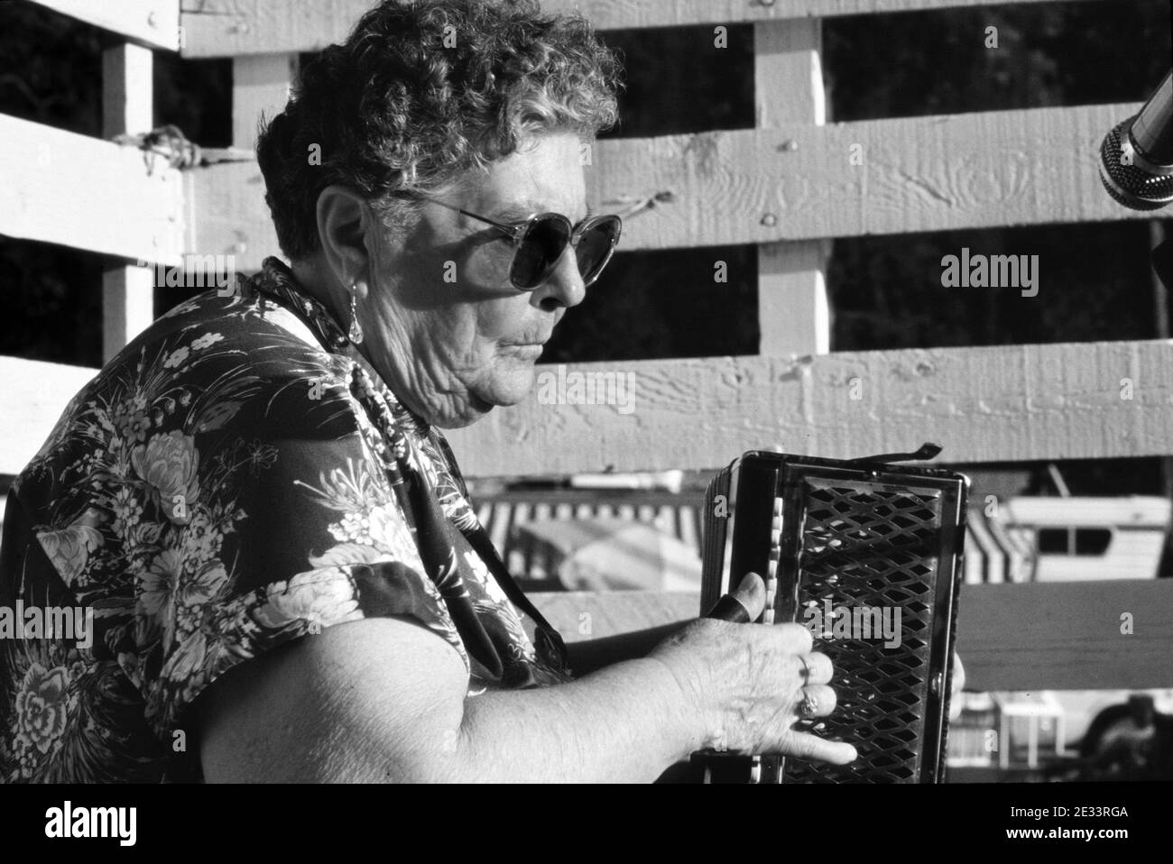 Yellow pine harmonica festival hires stock photography and images Alamy