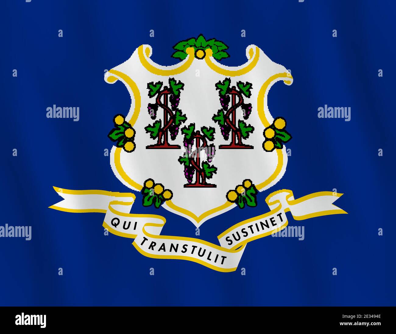 Connecticut US state flag with waving effect, official proportion Stock ...